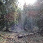Chartreuse – Col de porte – L&rsquo;impact de l&rsquo;Homme sur la biodiversité