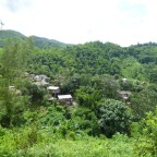 Thaïlande – Trek dans la jungle au Nord de Chang Rai