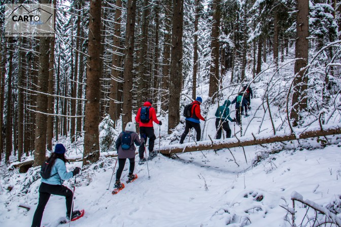 Lorraine Marie-9450.jpg