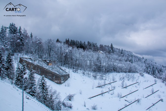 Lorraine Marie-9514.jpg