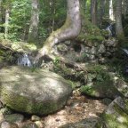 Vercors -L’Histoire du Moulin – Dimanche 13/10